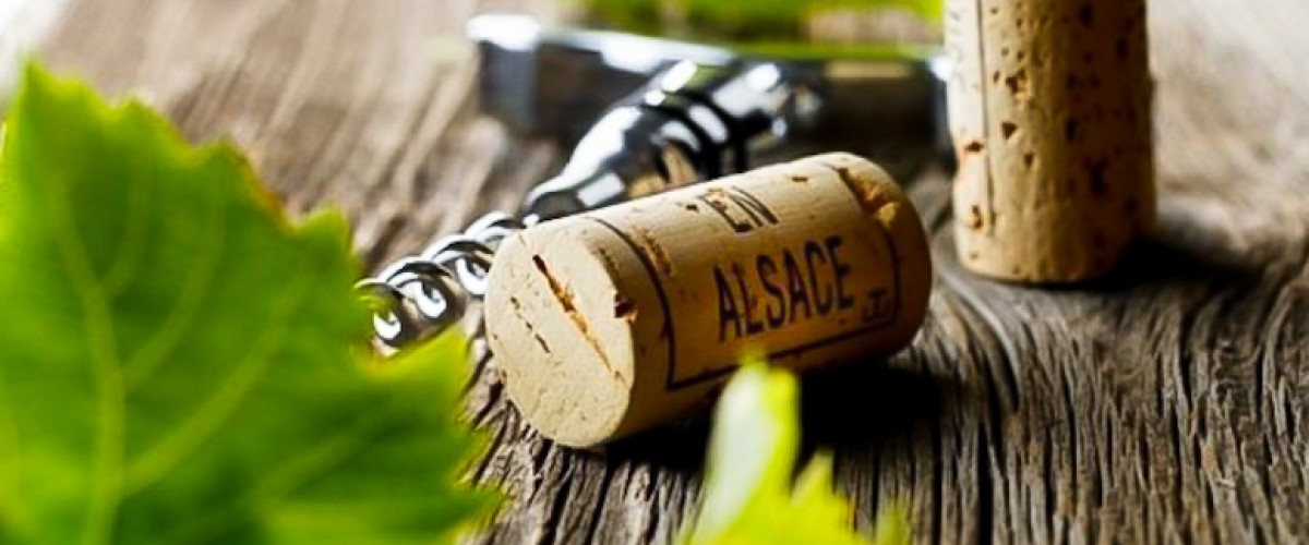 Sur la route des vins d'Alsace : initiation à la dégustation