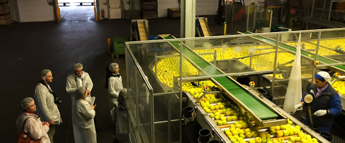 Visite d'une coopérative de pommes du Limousin AOP