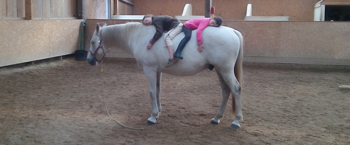 L'équitation autrement : séance de relaxation avec un cheval