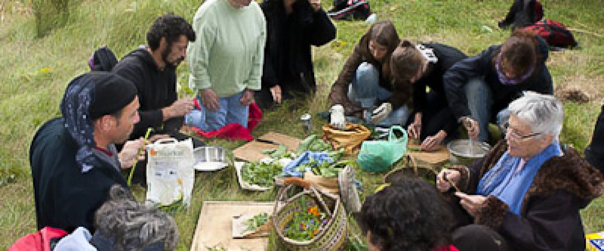 Auvergne : Journée plantes sauvages comestibles et médicinales