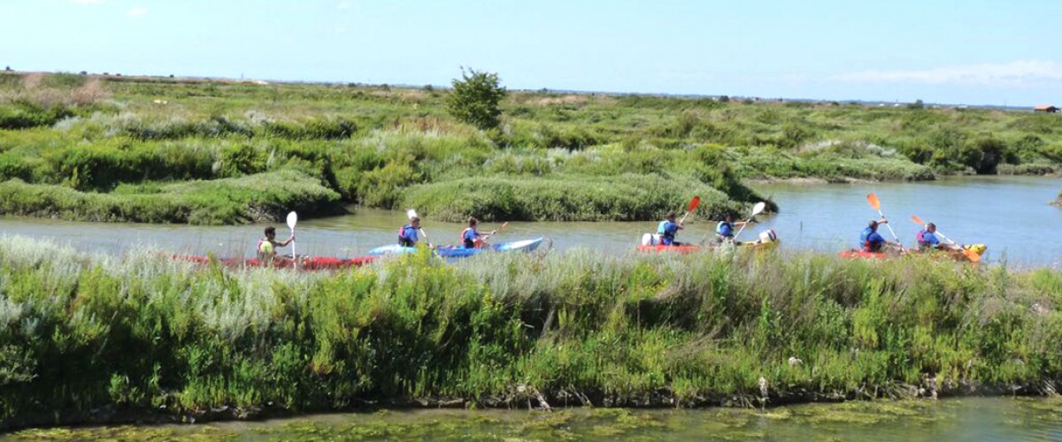Sortie kayak à la découverte du marais de Seudre, près de Royan