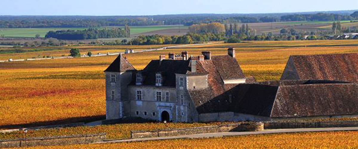 Demi-journée à la découverte de la Bourgogne et de ses vins