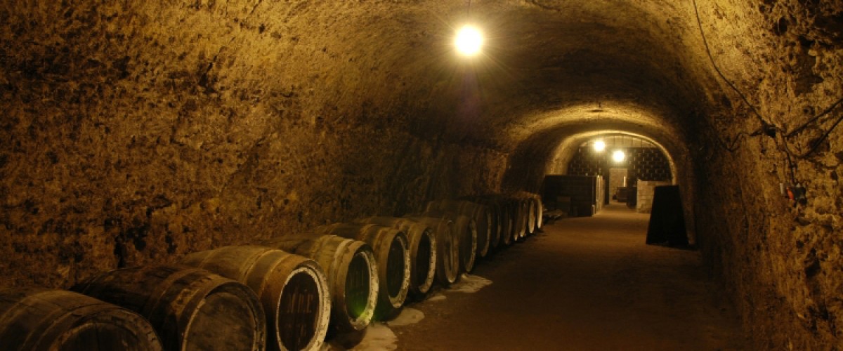 Vins de Loire : visite de cave avec dégustation vins et fromages