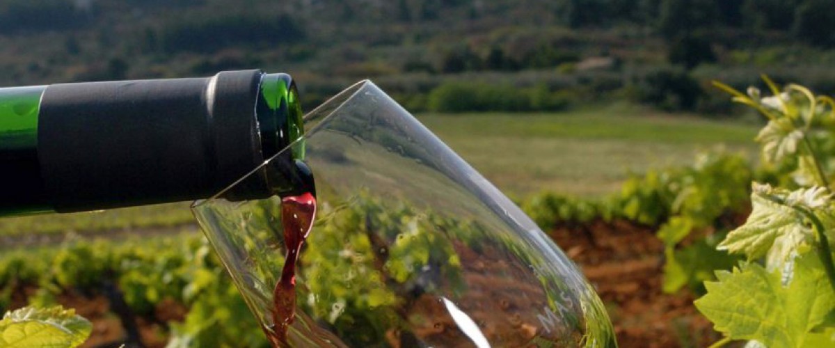 Circuit œnologique à la découverte des vins de Provence