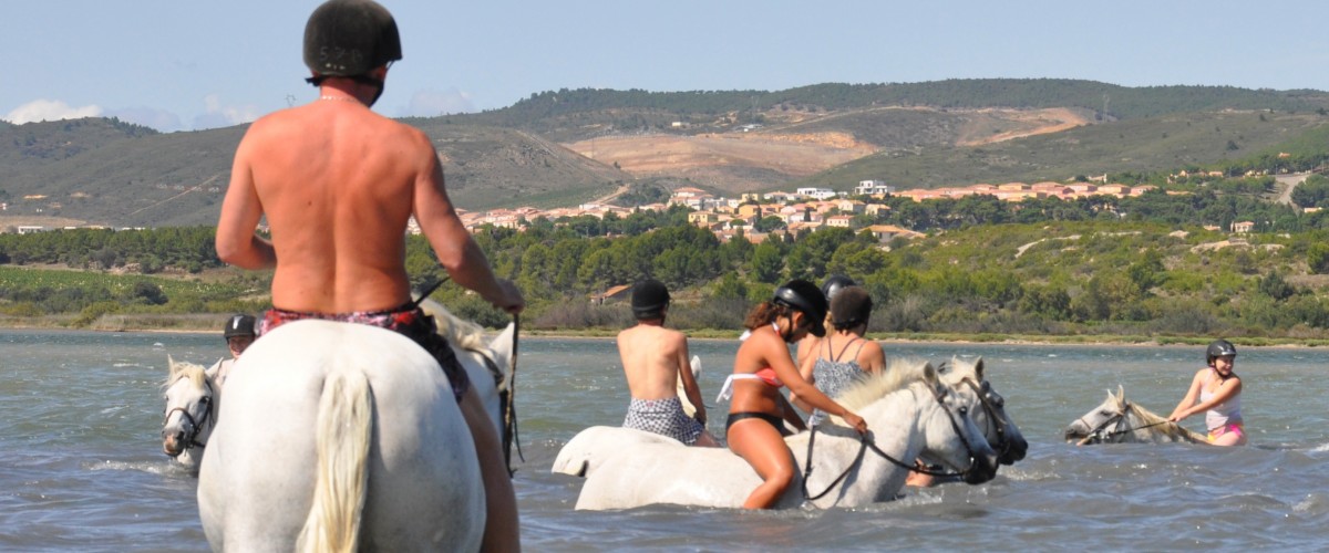 Randonnée baignade avec les chevaux près de Narbonne
