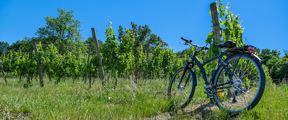 Journée champêtre à vélo en Bourgogne