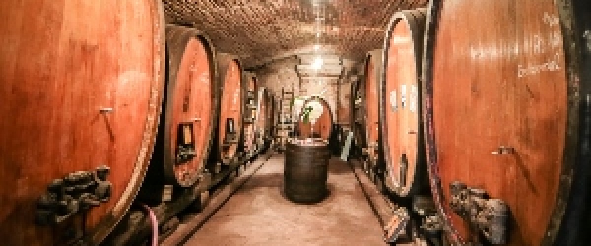 Découverte des vins d'Alsace au coeur d'une cave historique de 1728