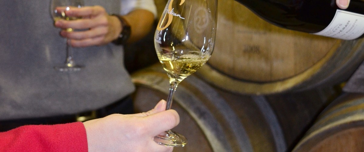 Découvrez le berceau du Chardonnay en Bourgogne