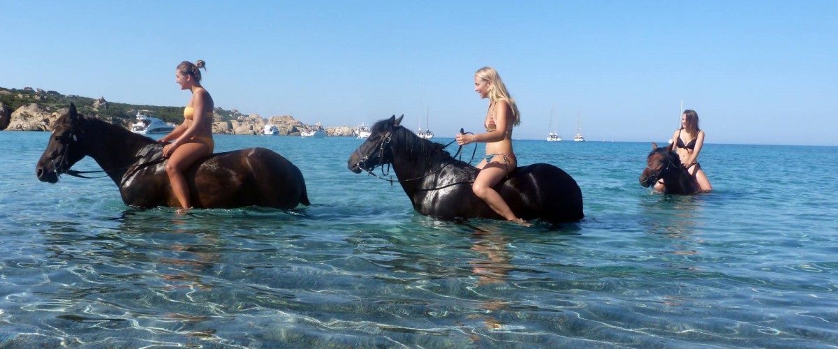 Balade avec baignade à cheval près de Sartène