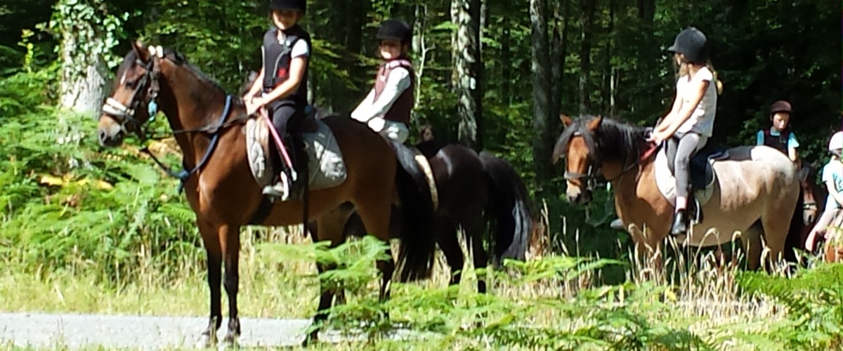 Balade à poney ou à cheval en forêt de Cerisy pour jeunes cavaliers !