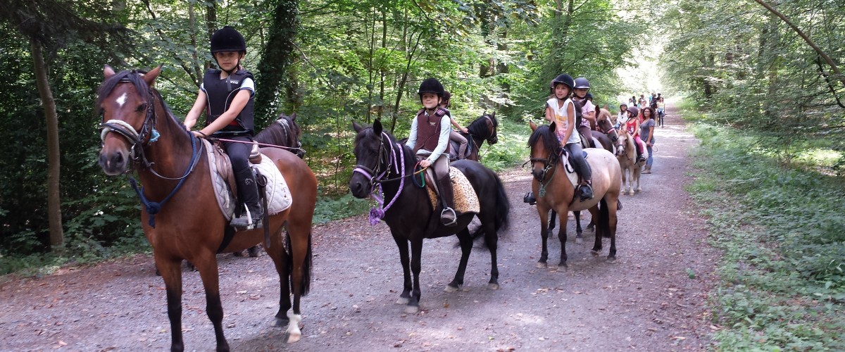 Balade à poney ou à cheval en forêt de Cerisy pour jeunes cavaliers !
