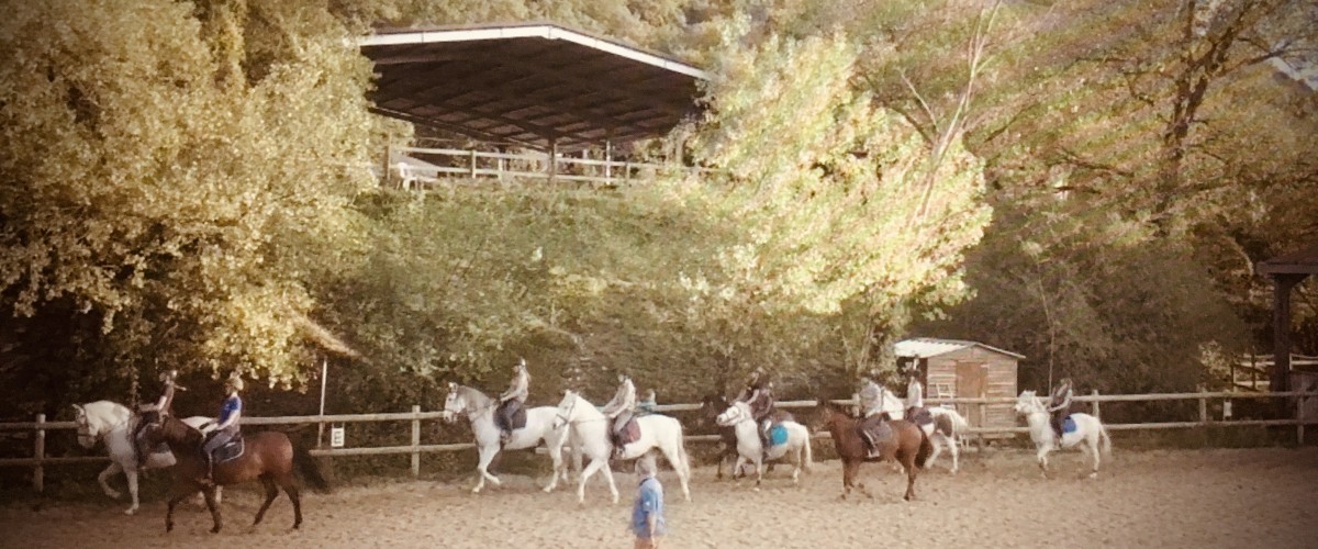 Cours d'équitation au Rouret