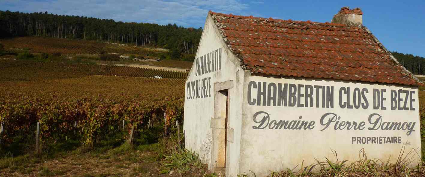 Demi-journée à la découverte de la Bourgogne et de ses vins